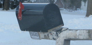 New black mailbox & address.JPG