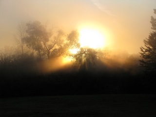 Fog_Sunrise_1.jpg