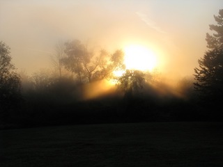 Fog_Sunrise_3.jpg