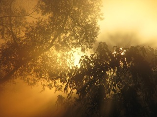 Fog_Sunrise_4.jpg
