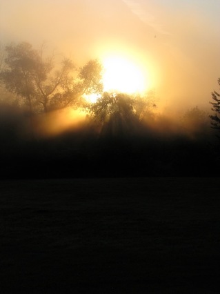Fog_Sunrise_5.jpg